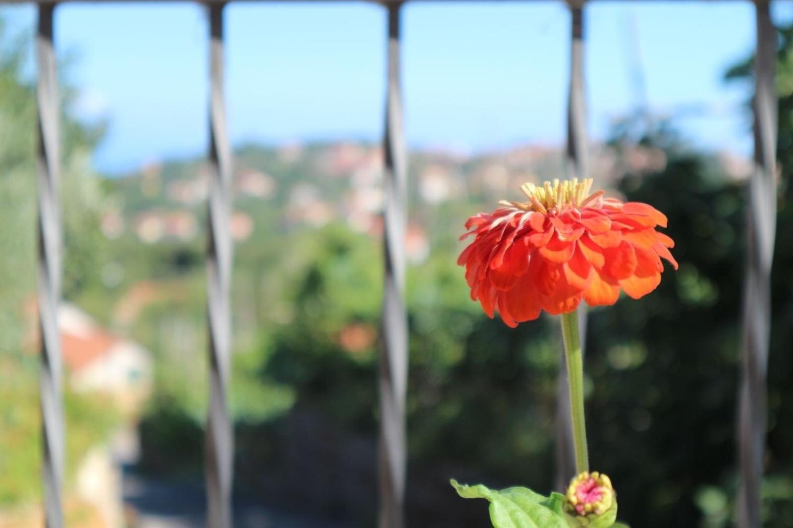 Il Balcone Delle Dee Villa Agerola Luaran gambar